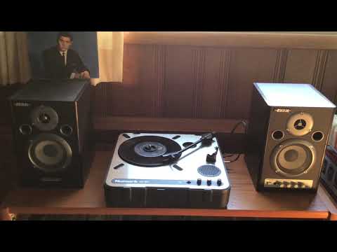 “Remember Diana” - Paul Anka