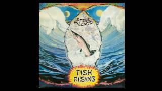 Steve Hillage - Salmon song - 1975