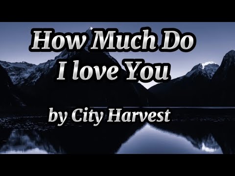 YouTube video about: How much I love you lyrics?