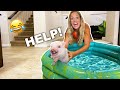 Giving My Mini Pig Her First Bath BAD IDEA