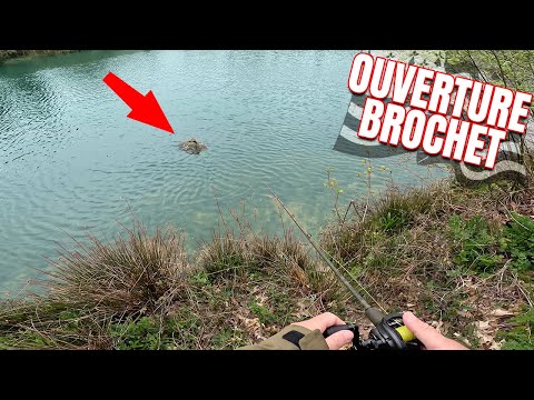 Ces BROCHETS FOUS ATTAQUENT juste au BORD ! OUVERTURE BROCHET en BRETAGNE (pêche aux leurres)