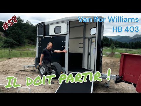 Van à chevaux 1 place et demi - Ifor Williams HB403 - Pont avant - PTAC 1600 kg - Référence HB511-PA/CS_5