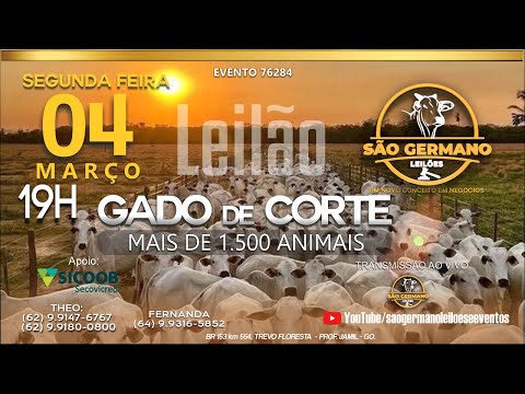 19º LEILÃO GADO DE CORTE SÃO GERMANO LEILÕES E EVENTOS  SEGUNDA-FEIRA 04 DE MARÇO 19H