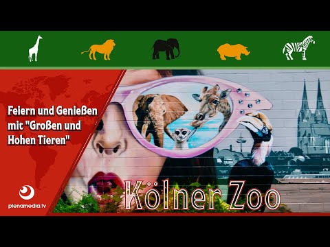 Kölner Zoo - Feiern und Genießen für jedes Alter mit "Großen und hohen Tieren" - Die Zoo-Gastronomie