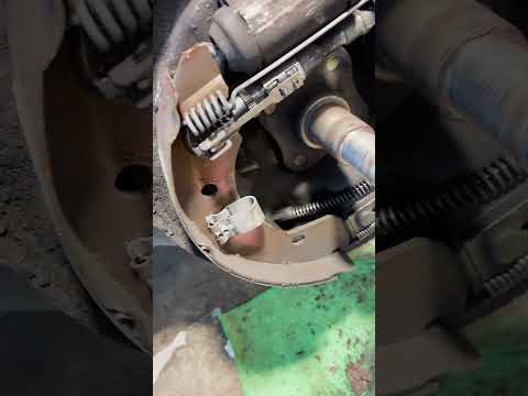 IMG 8648