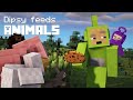 Dipsy Feeds ANIMALS