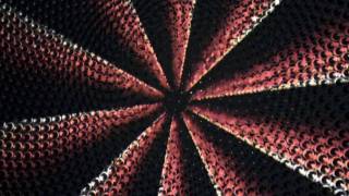 One Path Revealed - Paul Avgerinos