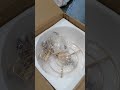 Chandelier Light