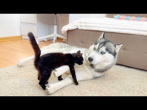 YouTube 썸네일
