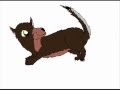 Conner Whips His Tail Back And Forth