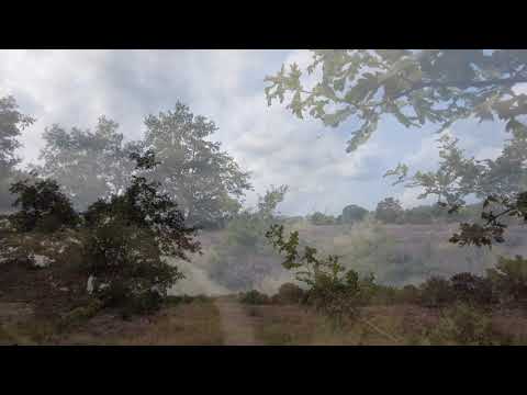 Ermelose Heide augustus 2021 4K