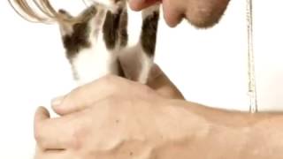 Liars - House clouds