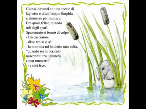 Il Brutto Anatroccolo - AUDIO FIABA ORIGINALE