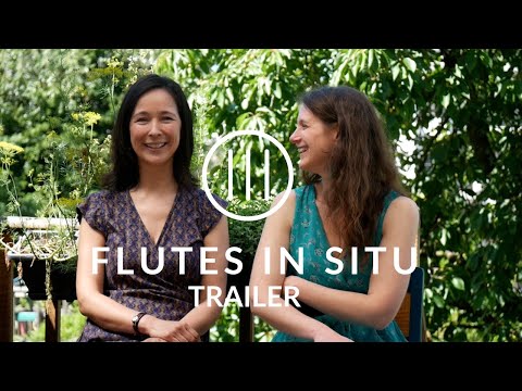 Flutes in situ (E09). Trailer