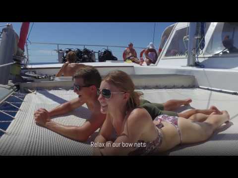 Reef Daytripper