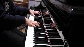 Dear Butterfly / MEZZO