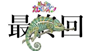 本当の最終回　めっちゃカメレオンで三連続1位を取るまで配信