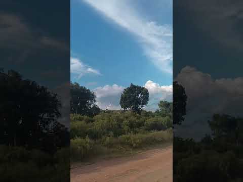 Camino entre ruta 7 y pueblo Centurión , departamento de Cerro Largo , Uruguay , videitos 🇺🇾 .
