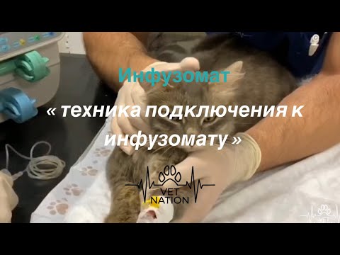 « Техника подключения к инфузомату »
