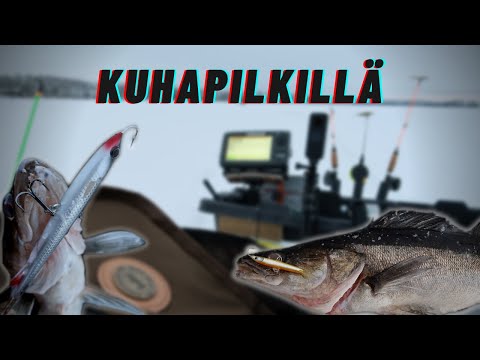 KUHAPILKILLÄ | Tasurit pelaa ! | ZANDER ICE FISHING