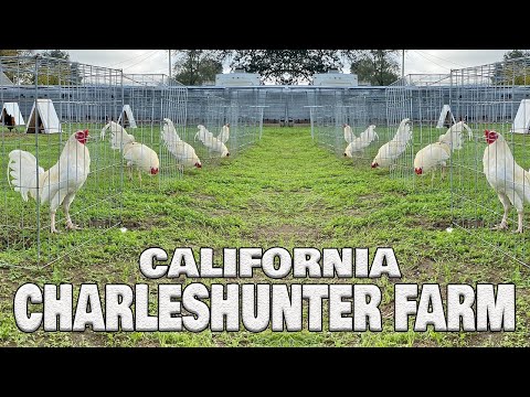 Beautiful White CharlesHunter Farm California - Farm Visit