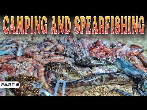 EP926-P2 - Camping and Spearfishing