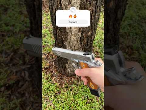 RIA 1911 SS #1911 #1911pistol #rockislandarmory #stainlesssteel #armscor #gun #45auto #ChipMcCormick