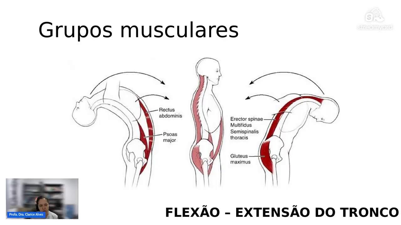 Anatomia do Aparelho Locomotor - Aula 4