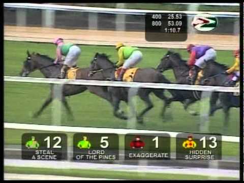 Singapore Gold Cup Horse Race