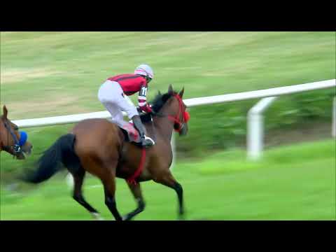 221030 c02 LIGHTS OUT (BRZ)