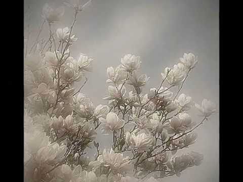 Frank Mills - Ballet Russie