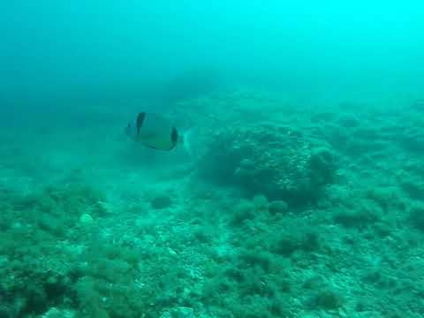 Scuba diving in Niolon with UCPA