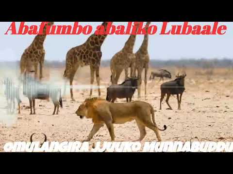 Abafumbo abaliko Lubaale - Omulangira Jjuuko Munnabuddu