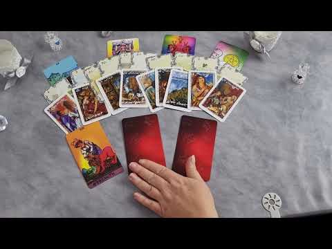 🌹Wochenspecial vom 17.12. - 23.12.🌹