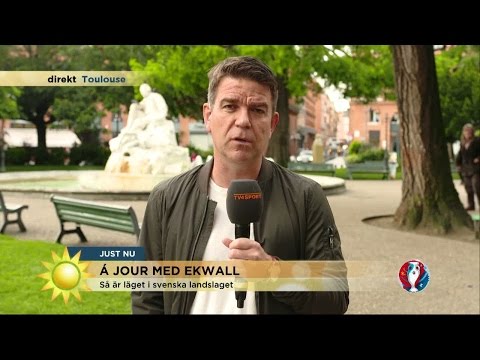 Ekwall: Så är läget i svenska landslaget - Nyhetsmorgon (TV4)