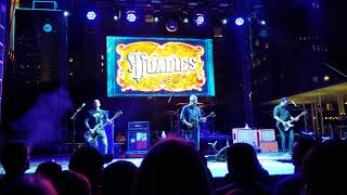 Toadies - The Appeal - Live. Homegrown fest 10. 4/14/19