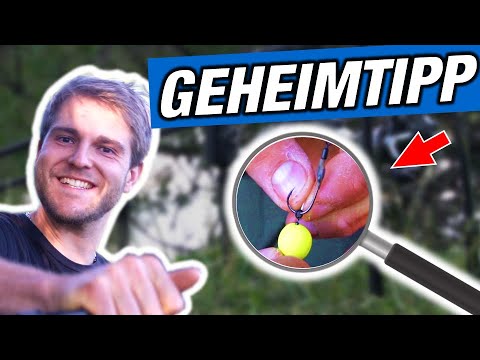 No one shows you this trick… until now! ❗ LIVE BITE - TIPS for carp fishing