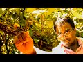 the-jumper-part-03-