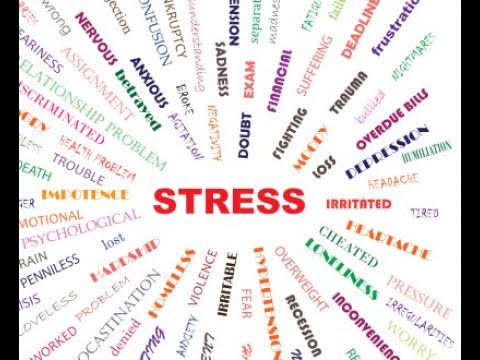 Kundalini Yoga Stress Set for the Adrenals and Kidneys Kriya