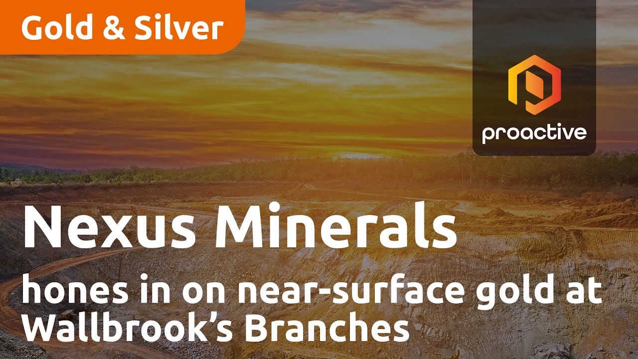 Nexus Minerals hones in on near-surface gold at Wallbrook’s Branches prospect