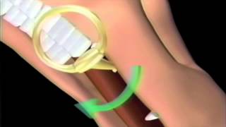 How Horse bits work and how they can affect your riding.