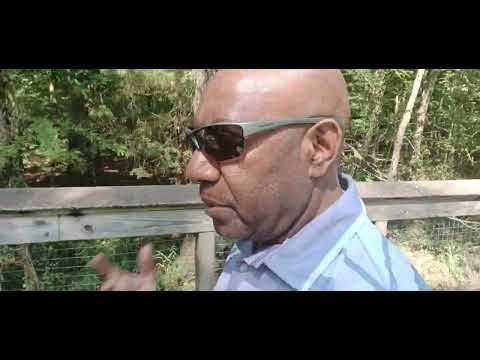 Cash vs Resource for Wealth Creation. Please Comment. What do you think?