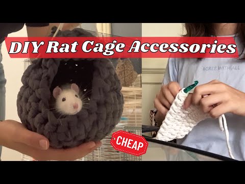 DIY Dollar Store Rat Cage ACCESSORIES
