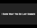 Shawn Mendes & Camila Cabello - I Know What You Did Last Summer (Lyrics)