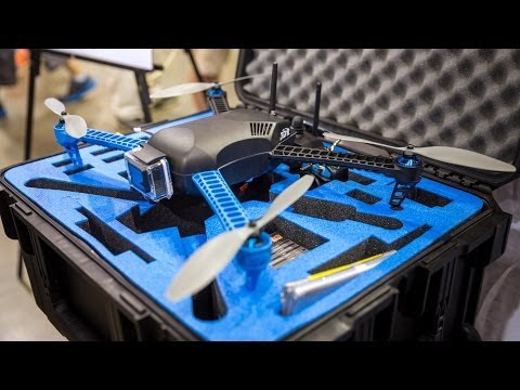 What Makes a Drone?