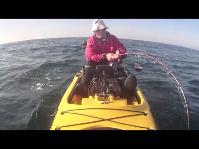 Pesca de Corvina en kayak. 28,6 kgs