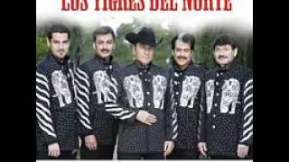 Corazon herido  - Los Tigres del Norte