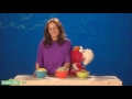 Sesame Street Elmo S World 0955