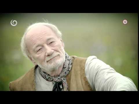 DIVOKÉ KONE II. (4)