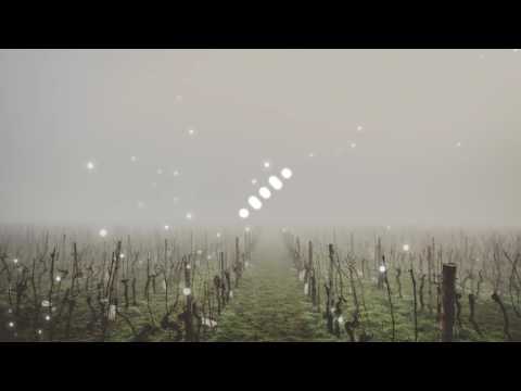 Dubskie x Blak Trash - Dingaling (Prod. Simtem & King Peanuts) [Bass Boosted]